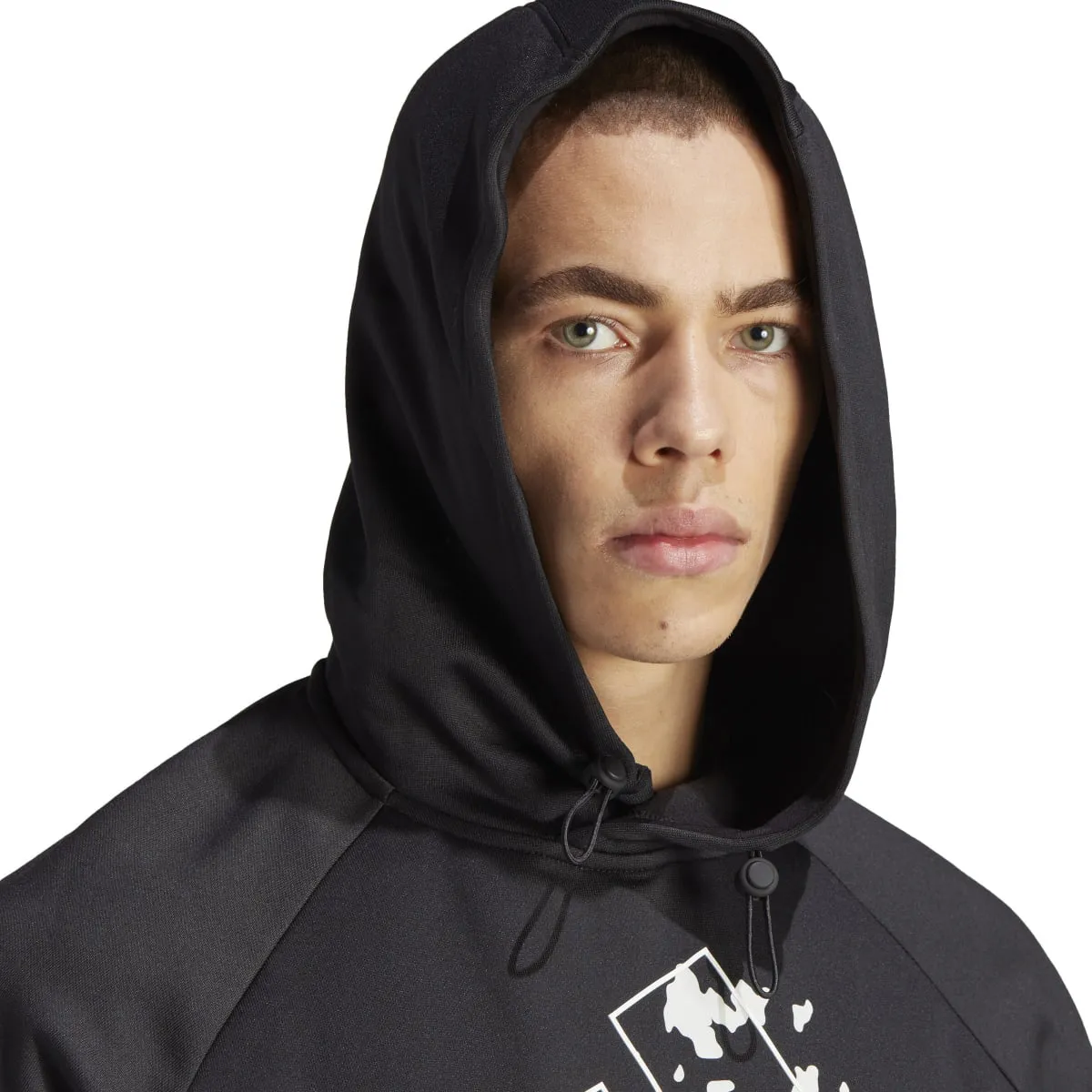 adidas Men's Big Logo Hoody