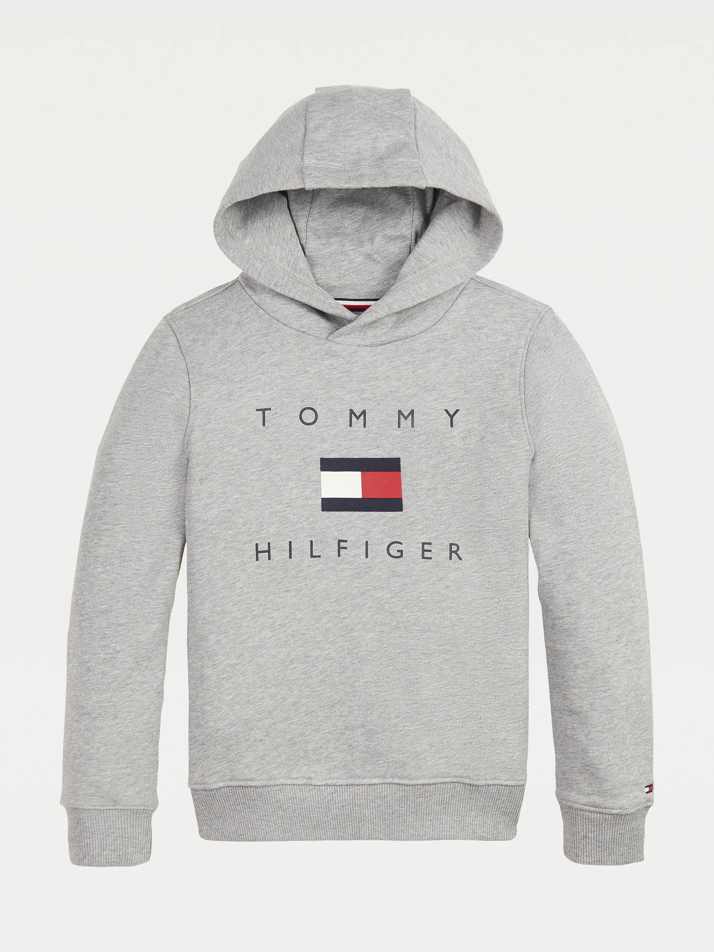 Boys 8-16 Chest Logo Pure Organic Cotton Hoody | Sweatshirts & Hoodies | Tommy Hilfiger