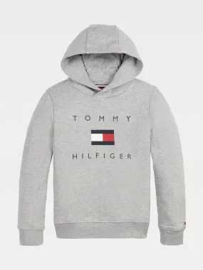 Boys 8-16 Chest Logo Pure Organic Cotton Hoody | Sweatshirts & Hoodies | Tommy Hilfiger