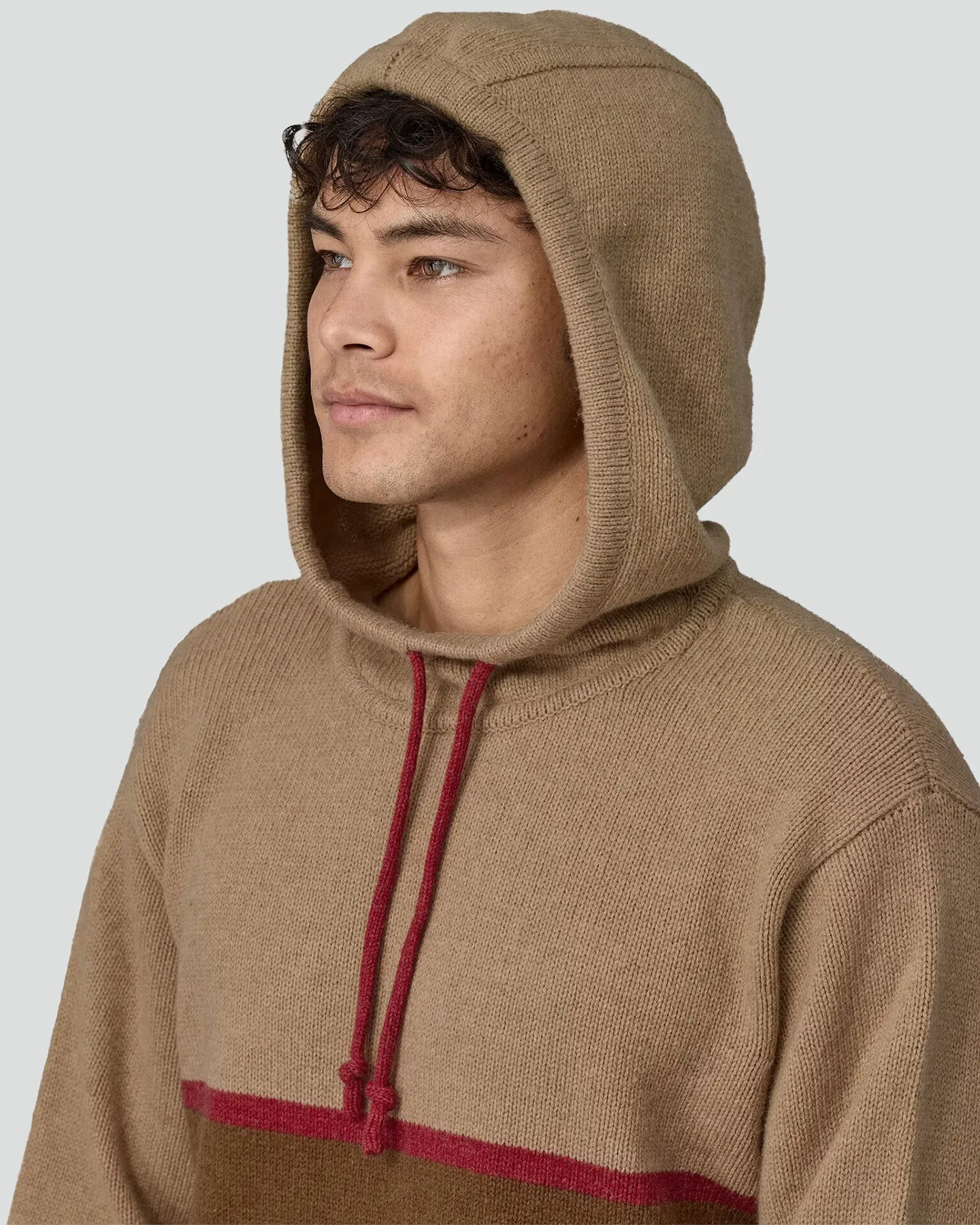 Patagonia Mens Recycled Wool-Blend Sweater Hoody - Nest Brown | SurfStitch