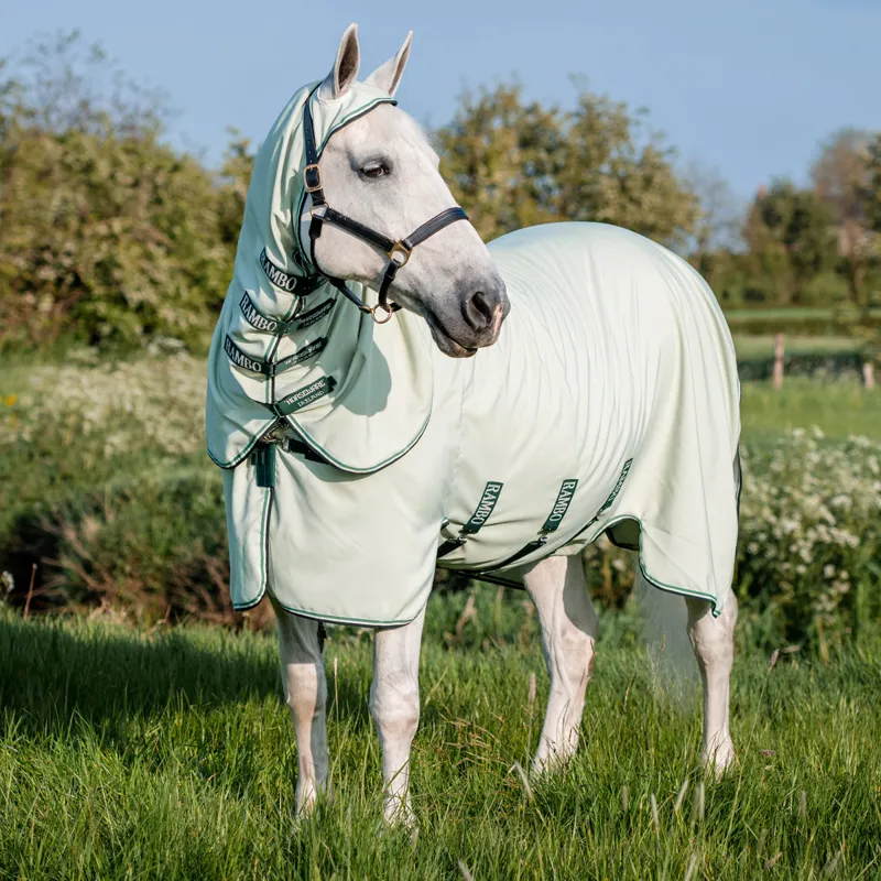 Rambo XL Hoody Sweet Itch Fly Rug - Green/Sage/Beige/Green