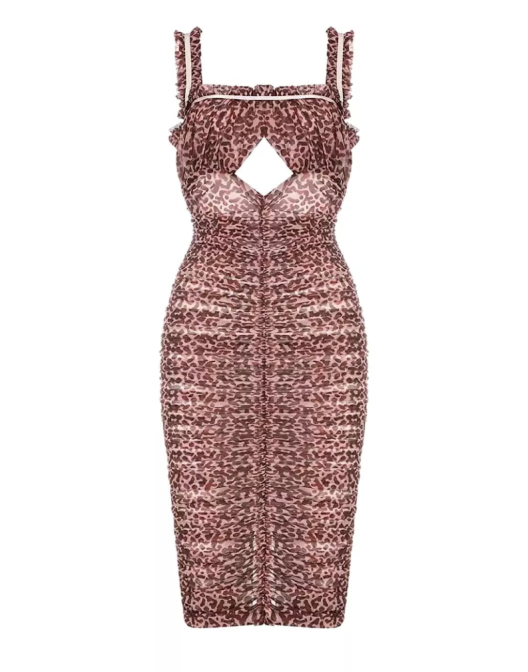 Ruched Bodycon Mesh Dress